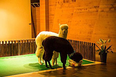 《漫威蜘蛛侠3》和《漫威毒液》并无PC工程版